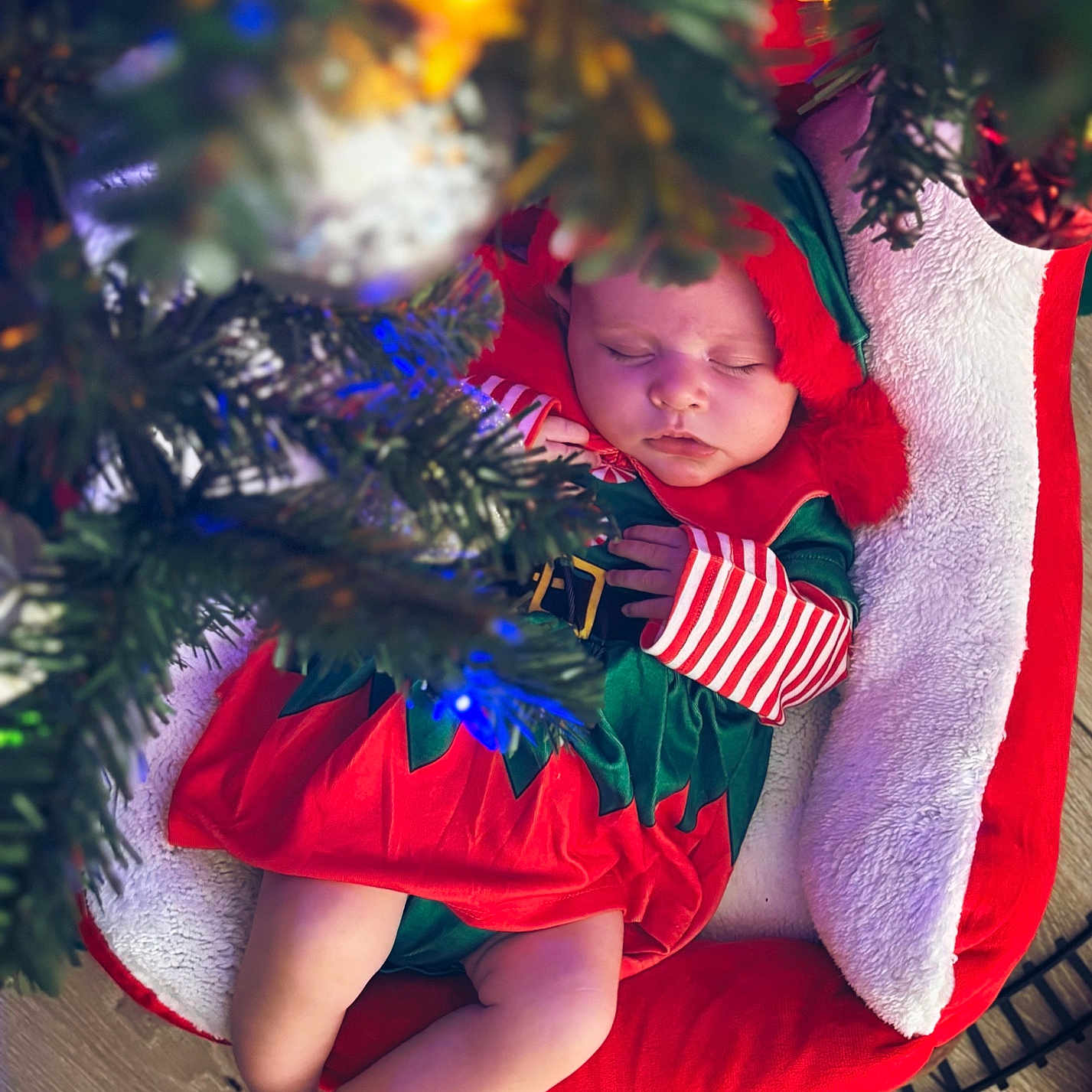 Iylah-Jane is registered to the contest to win money with this photo: baby, basket, child, christmas, christmas_tree, cushion, decorations, elf_costume, festive, green, holiday, holiday_season, infant, lights, peaceful, red, sleeping, tree, white, wood_floor