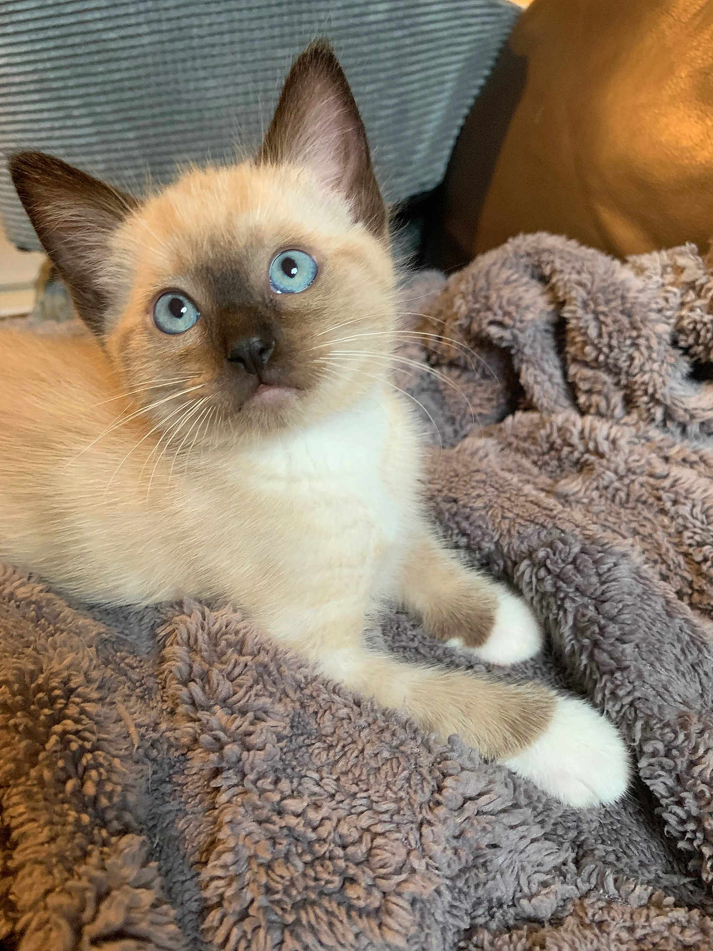 Tigger