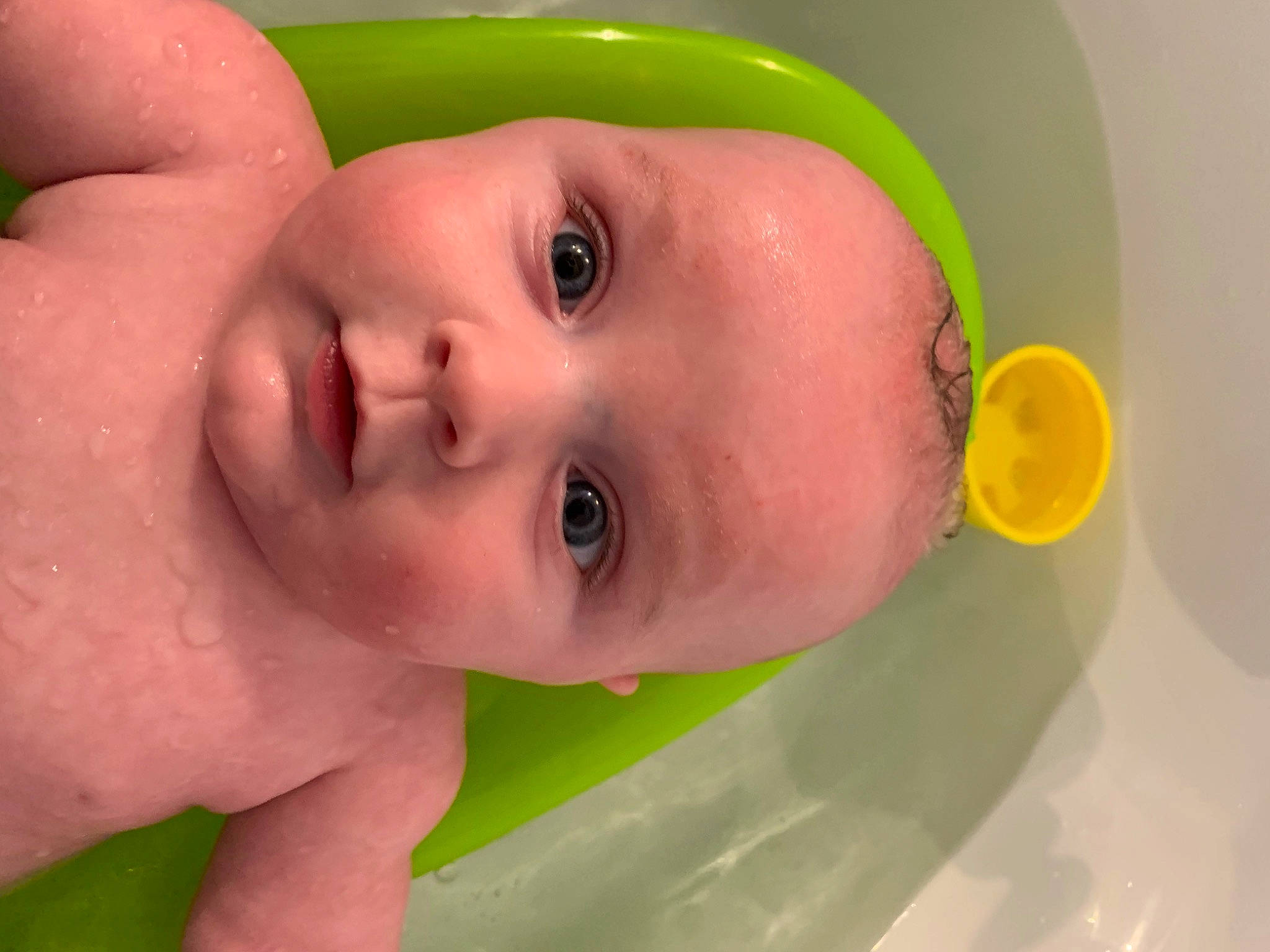 Noé participe au concours pour gagner de l'argent avec cette photo : arm, cheek, ear, eye, eyebrow, eyelash, face, hair, hand, head, human_body, iris, lip, mouth, neck, nose, person, plant, skin, smile