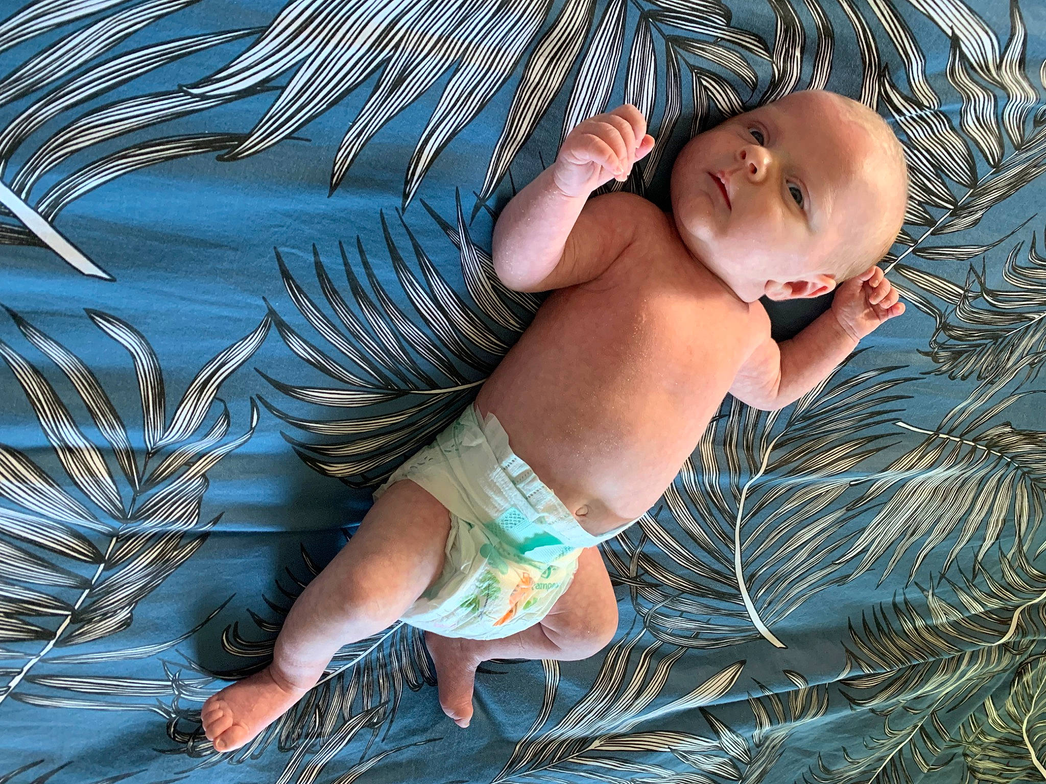 Noé participe au concours pour gagner de l'argent avec cette photo : abdomen, arm, azure, baby, black_hair, chest, finger, foot, fun, grass, happy, human_body, leg, people_in_nature, person, skin, textile, thigh, toddler, trunk