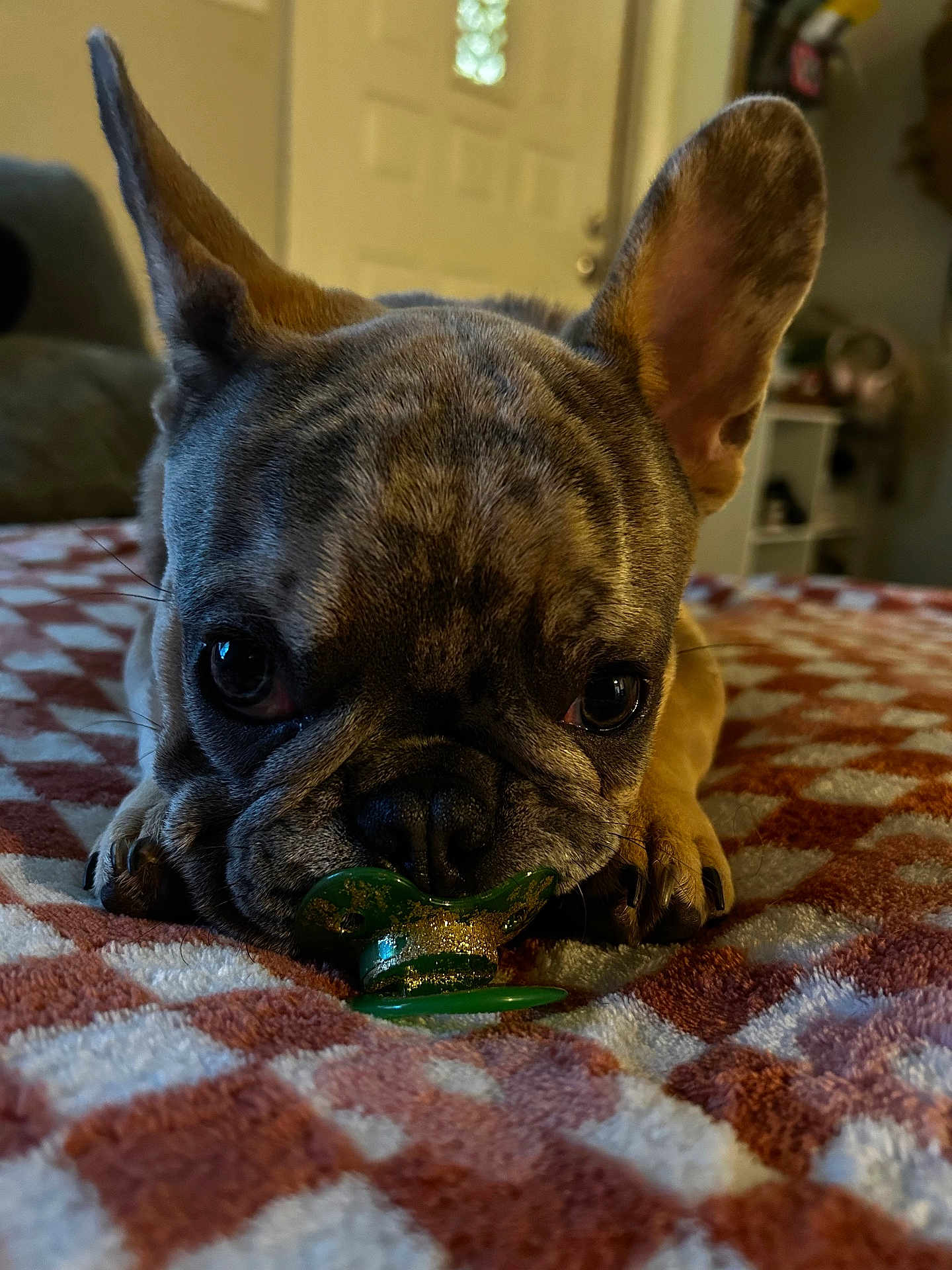 Odin