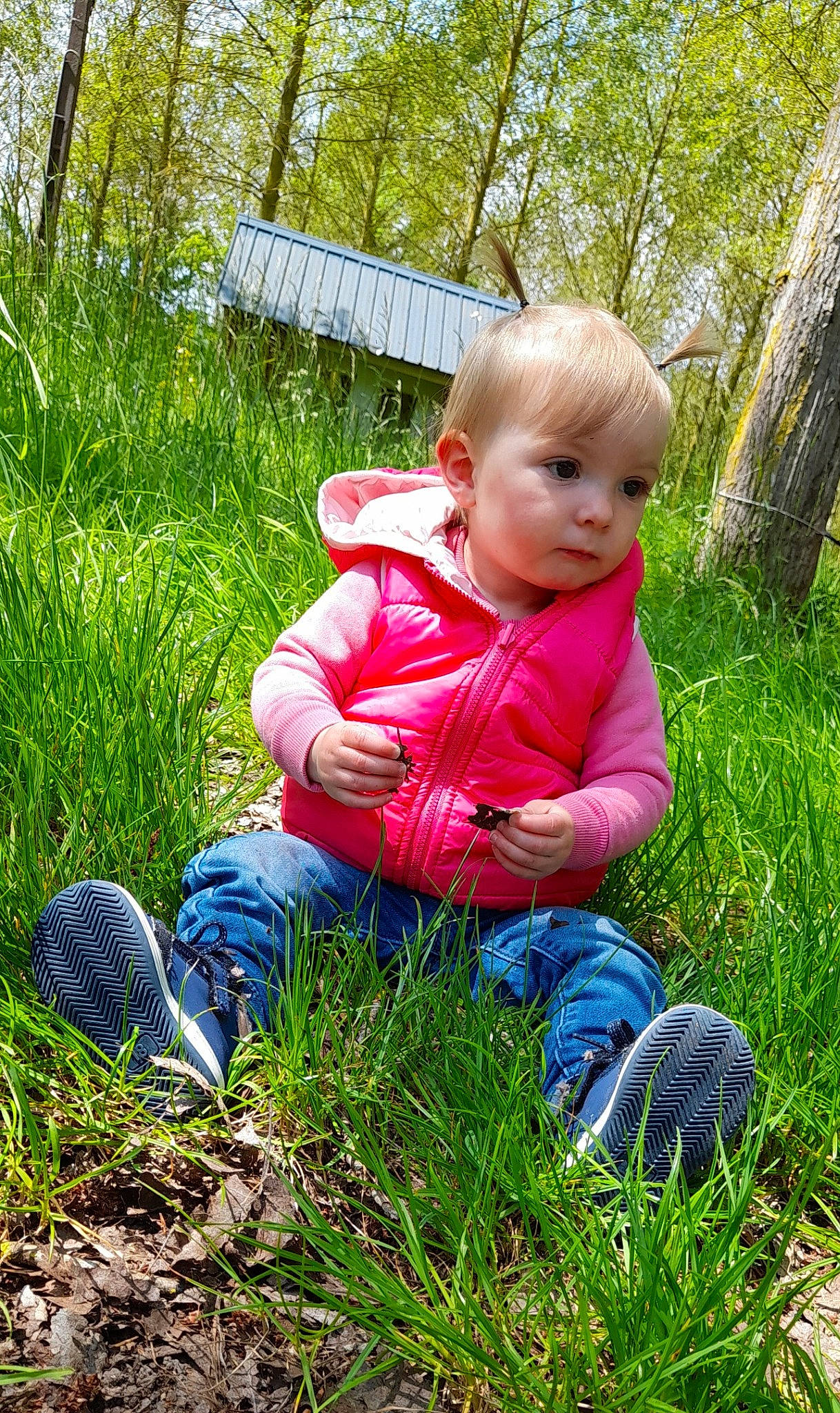 élyana participe au concours pour gagner de l'argent avec cette photo : baby, baby_toddler_clothing, child, fun, garden, grass, grass_family, grassland, groundcover, happy, jeans, lawn, meadow, people_in_nature, person, plant, sitting, soil, terrestrial_plant, toddler