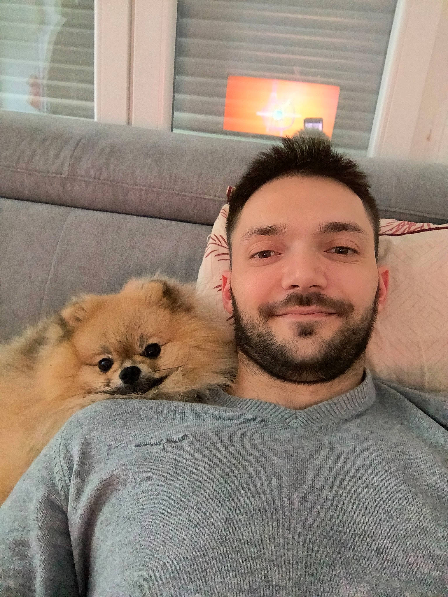 Apérol a rejoint le concours — aidez-le/la à gagner de superbes lots ! abdomen, beard, carnivore, comfort, companion_dog, couch, dog, dog_breed, facial_hair, fawn, felidae, fur, moustache, selfie, small_to_medium_sized_cats, smile, spitz, toy_dog, whiskers, window_blind