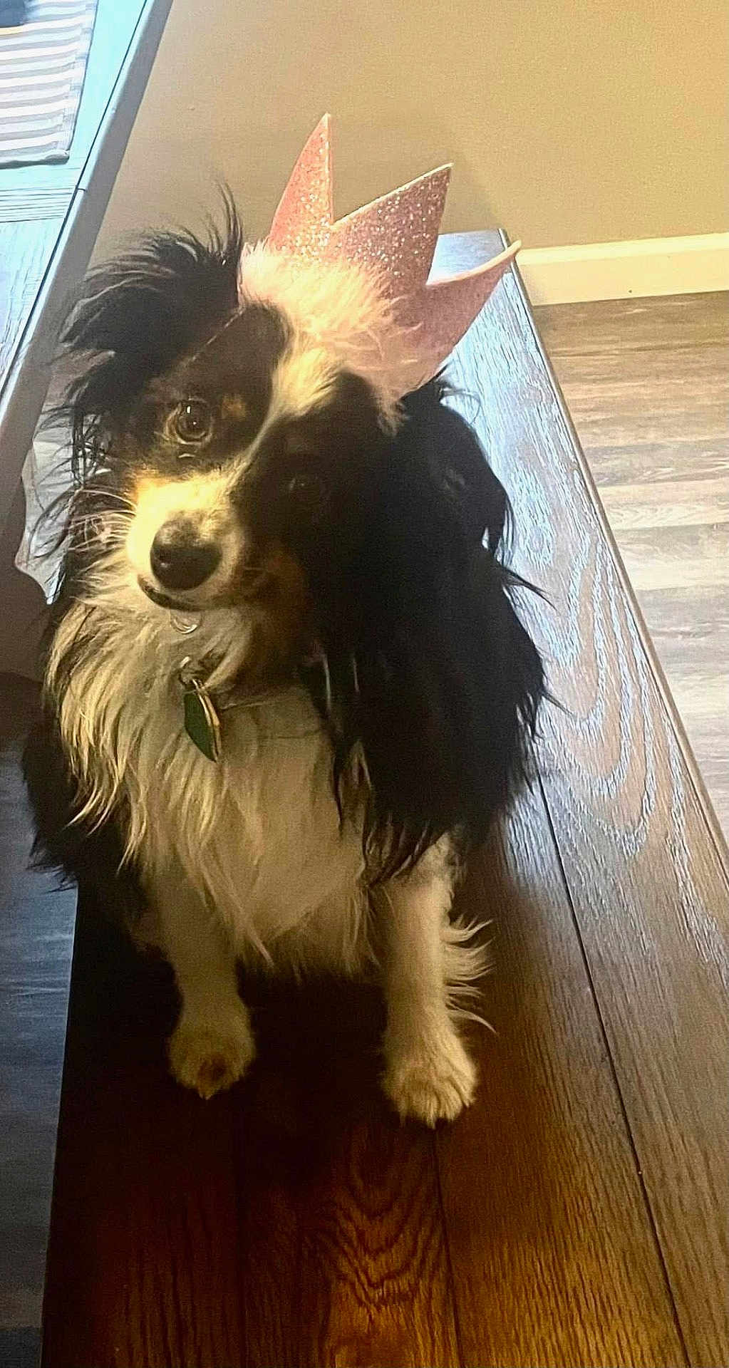 Marley