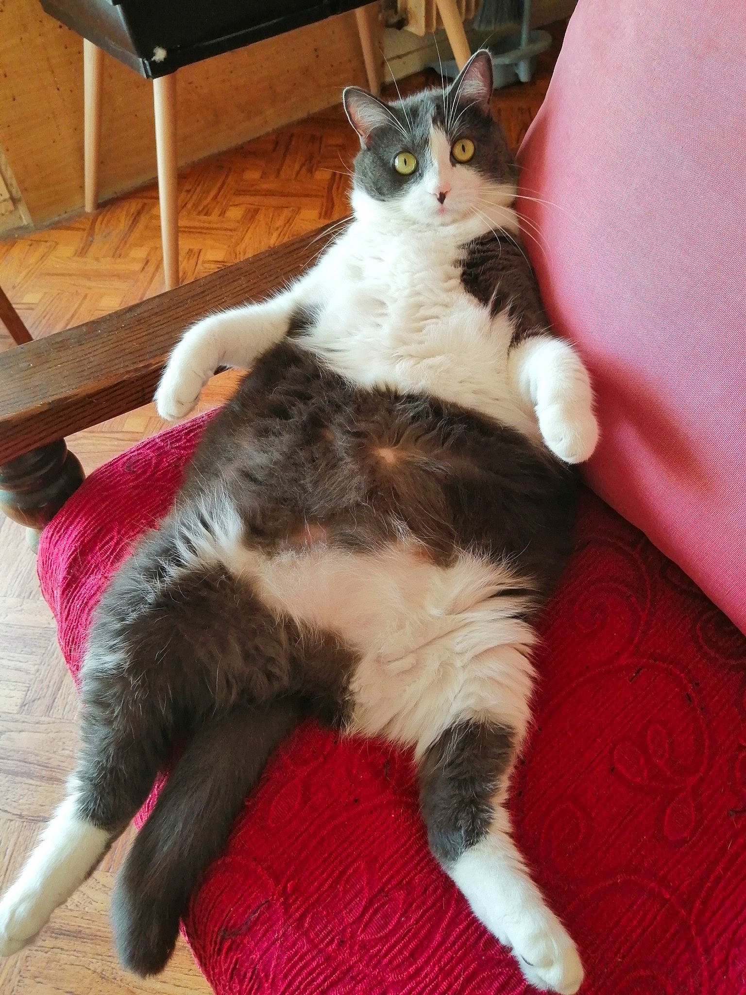 Moumoune