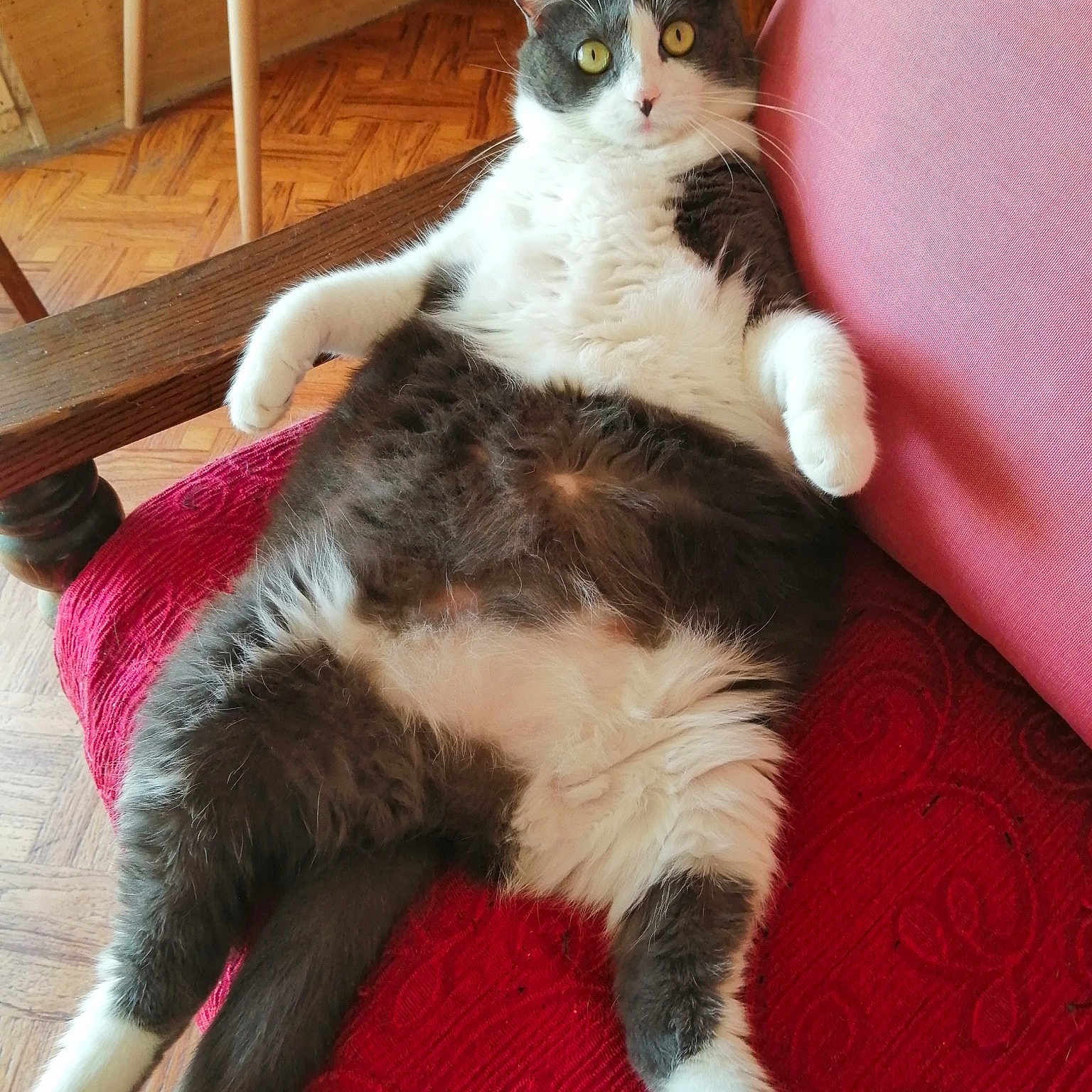 Moumoune