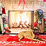 dog, fireplace, christmas, holiday, decorations, santa_figure, christmas_tree, red_rug, festive, indoor, relaxed, background, winter, celebration, seasonal, warm, cozy, pet, animal, lying_down