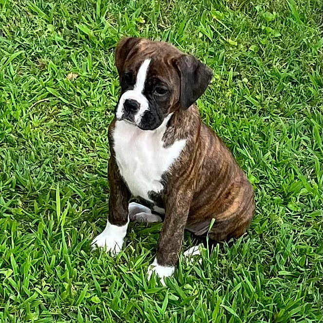 Ella