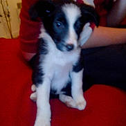 Luna participe au concours pour gagner de l'argent avec cette photo :