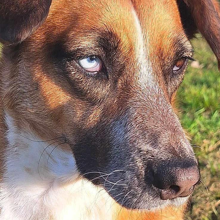 Ruby
