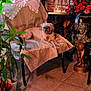 dog, chair, indoor, plant, potted_plant, flag, american_flag, flower, red_flower, statue, cherub, floor_tile, blanket, tablecloth, furniture, pet, relaxing, home_decor, cozy, dim_lighting