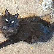 Satan joined the competition — help win amazing prizes!