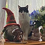cat, gnome, stuffed_toy, flower_bouquet, curtains, window, wooden_surface, indoor, decor, mushroom_shaped_object, black_and_white_cat, plant, greenery, soft_lighting, cute, pet, fluffy, sitting, table, ornament