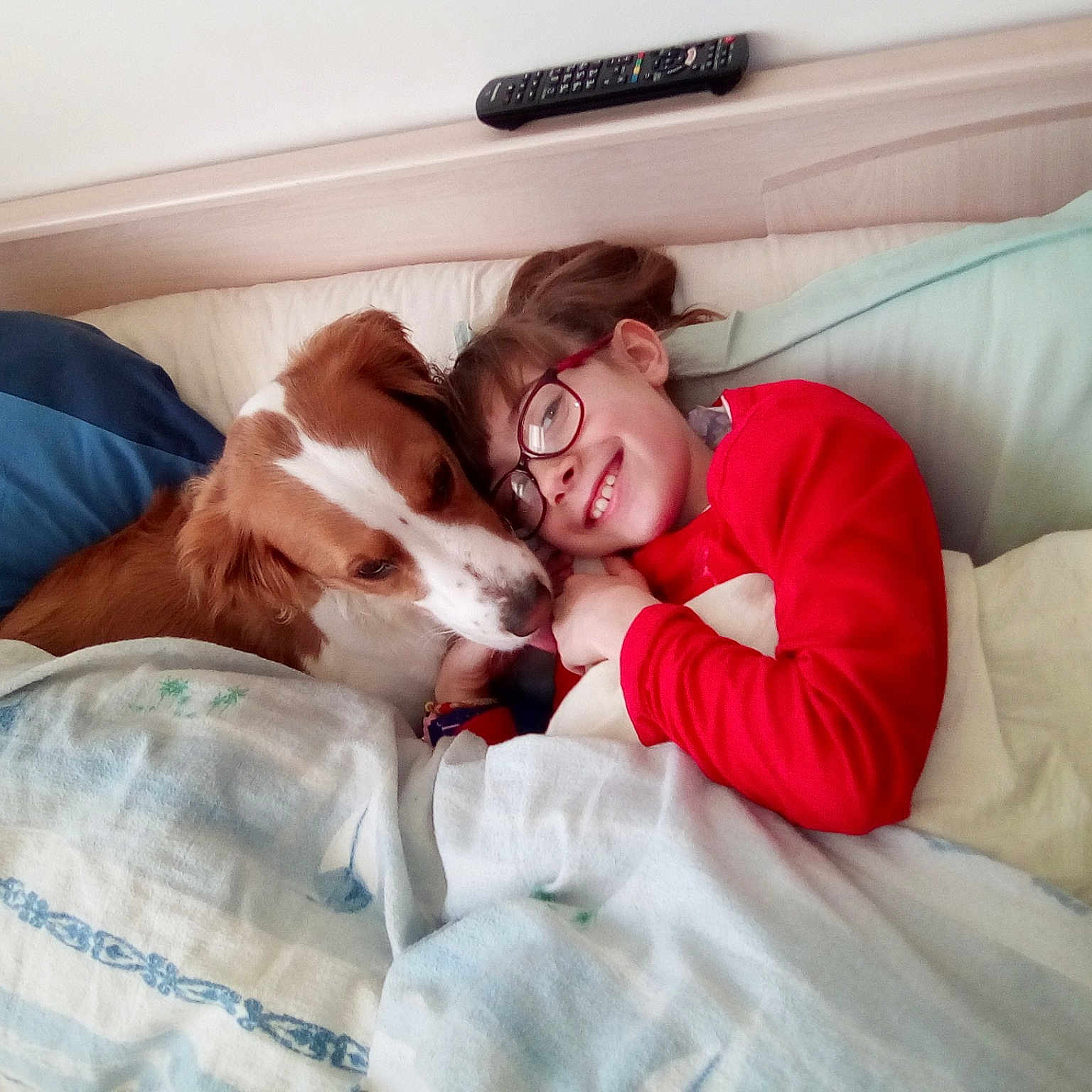 Maëlyse a rejoint le concours — aidez-le/la à gagner de superbes lots ! bedtime, birth, canidae, carnivore, comfort, companion_dog, dog, dog_breed, ear, nap, puppy_love, sleep, sporting_group