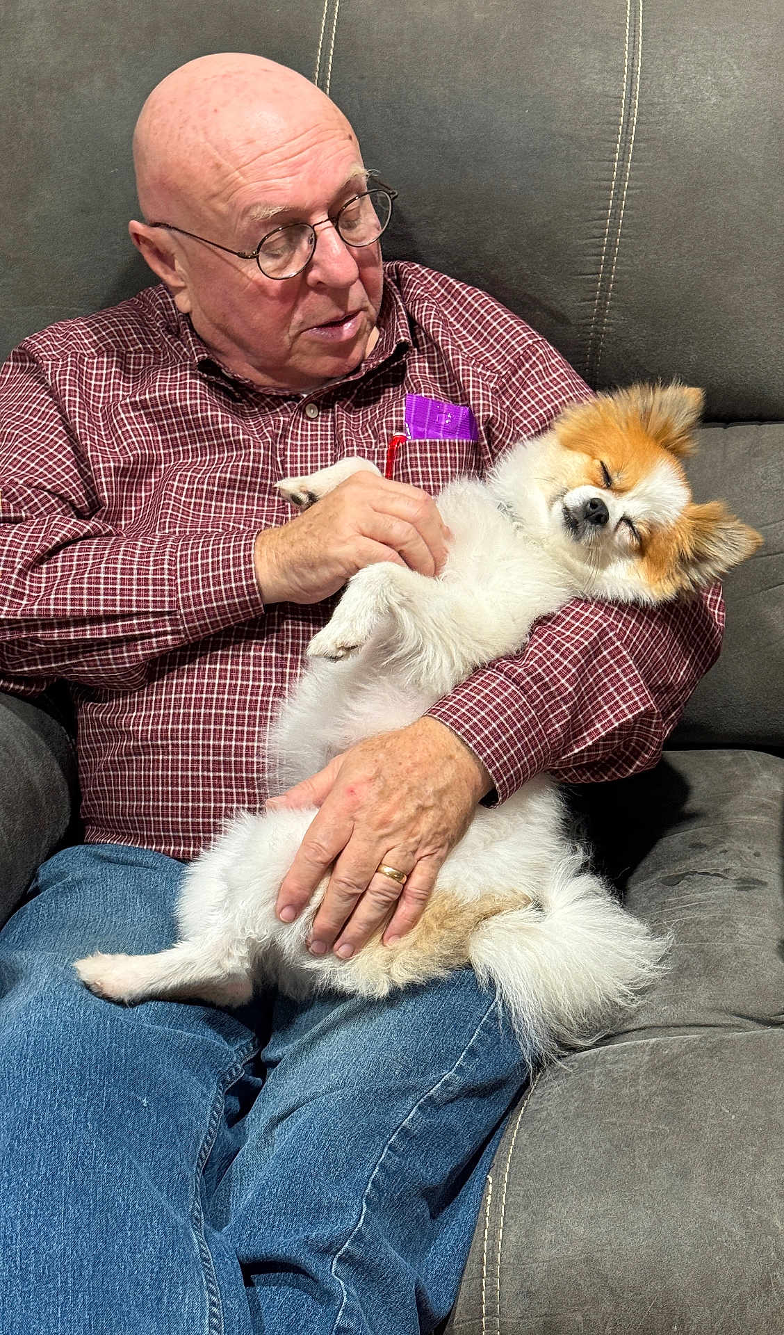 Shawnee is registered to the contest to win money with this photo: man, dog, pet, couch, indoor, glasses, jeans, shirt, bald, relaxing, sleepy, fluffy, companion, casual, comfort, home, hand, seated, resting, affection