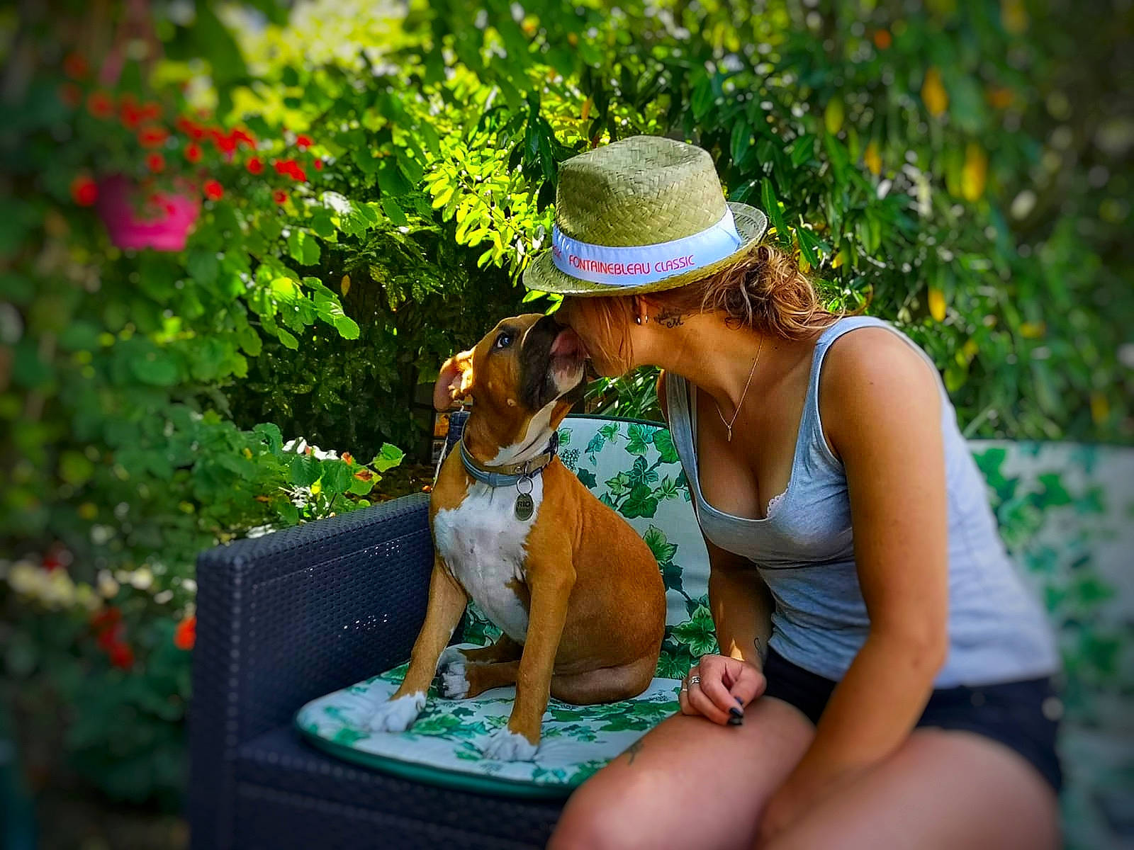 Rio participe au concours pour gagner de l'argent avec cette photo : annual_plant, canidae, carnivore, collar, companion_dog, cowboy_hat, dog, dog_breed, dog_collar, dog_supply, fawn, fedora, hat, hound, pet_supply, scent_hound, sporting_group, sun_hat, working_animal, working_dog