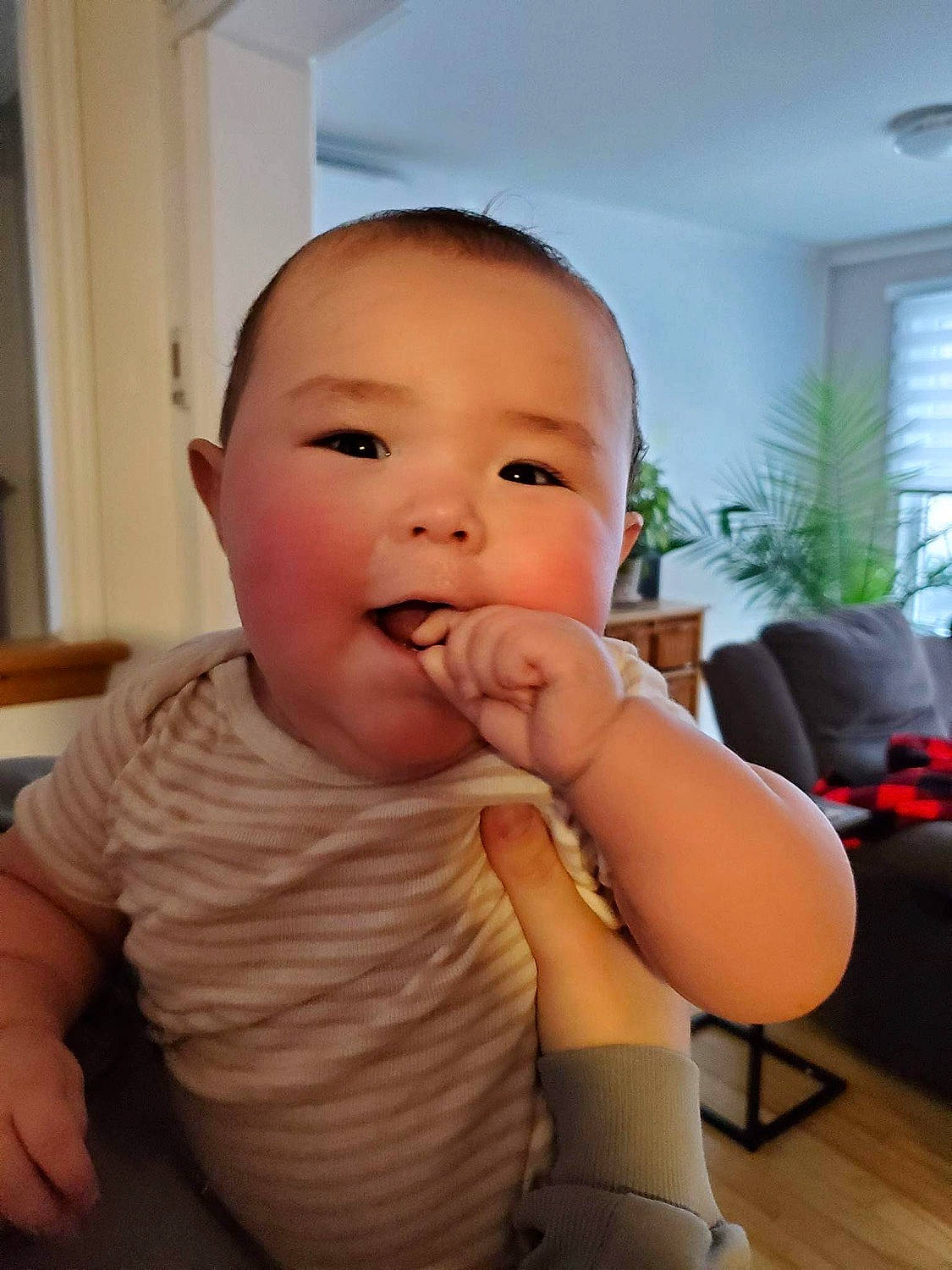 Olivia is registered to the contest to win money with this photo: baby, baby_grabbing_for_something, cheek, chin, eyebrow, eyelash, flooring, gesture, happy, houseplant, iris, lip, mouth, nose, person, plant, skin, smile, thumb, toddler