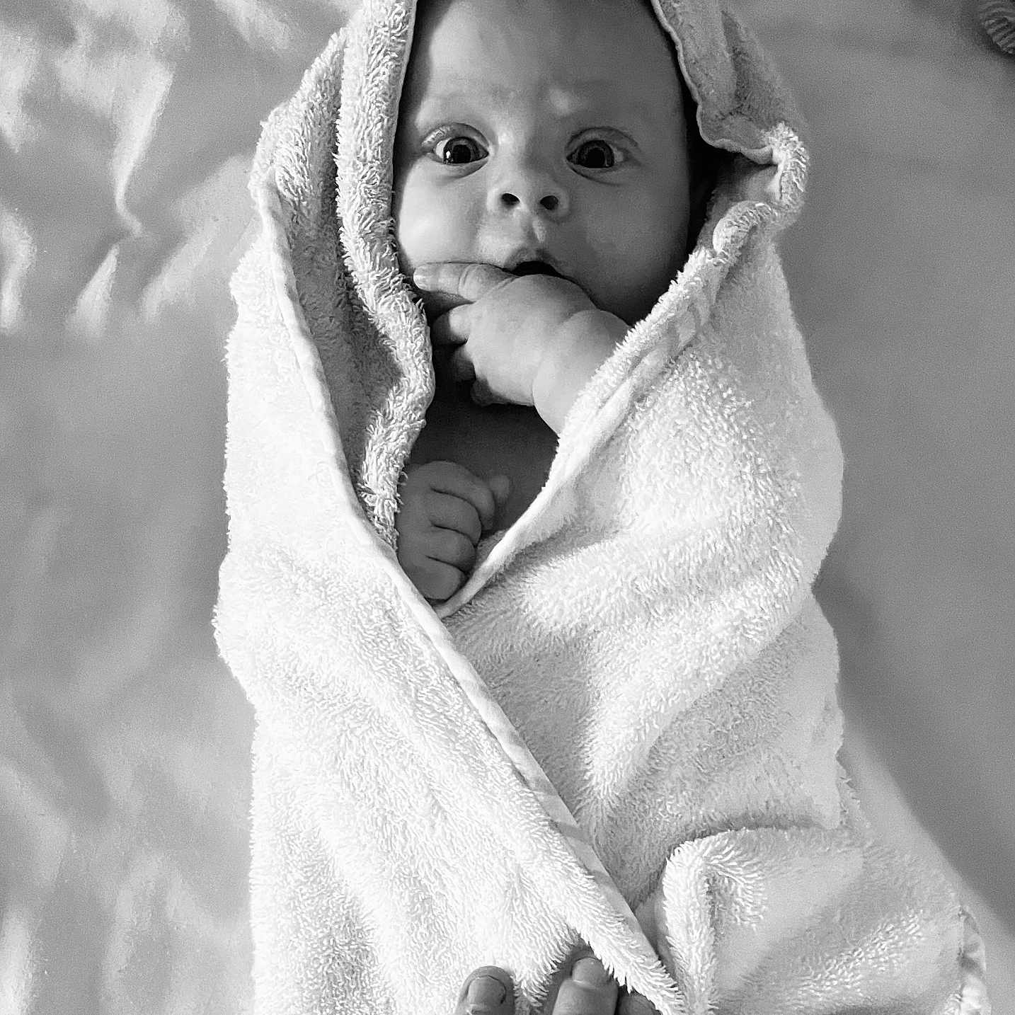 Nélia participe au concours pour gagner de l'argent avec cette photo : baby, black_and_white, blanket, child, cozy, cute, cute_face, expression, fingers, hand, indoor, infant, newborn, person, portrait, skin, sleepwear, soft, towel, wrapped