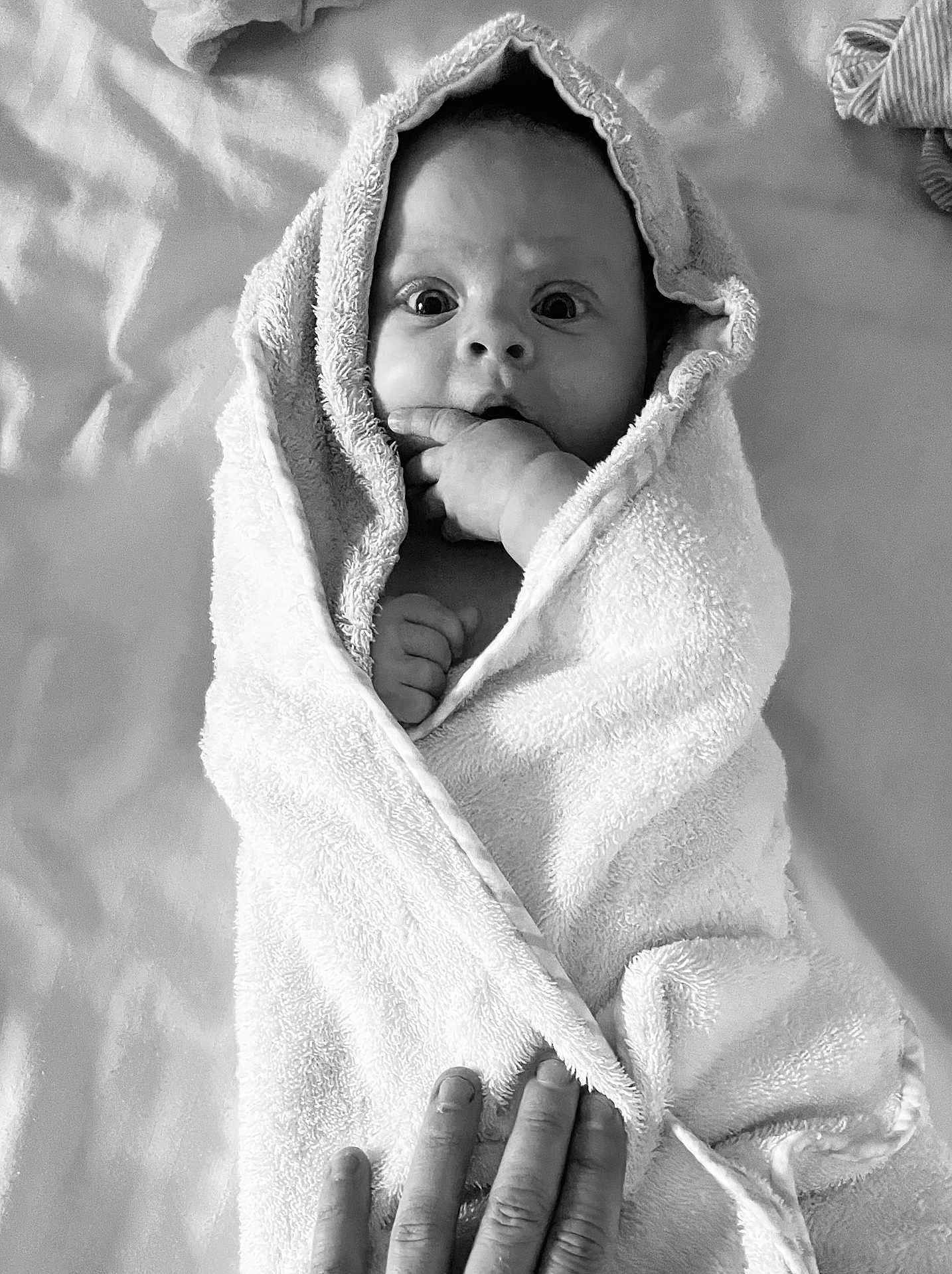Nélia participe au concours pour gagner de l'argent avec cette photo : baby, towel, hand, wrapped, infant, cute, indoor, person, portrait, black_and_white, expression, fingers, soft, skin, newborn, blanket, sleepwear, cozy, child, cute_face