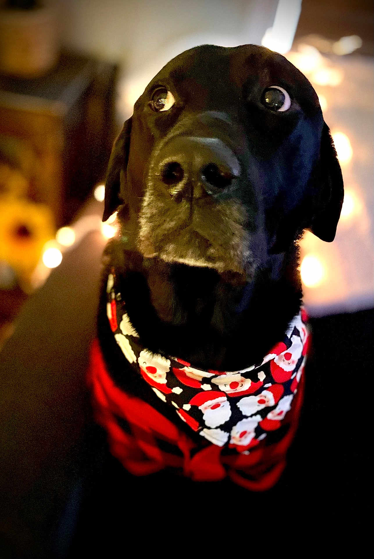 Cheech