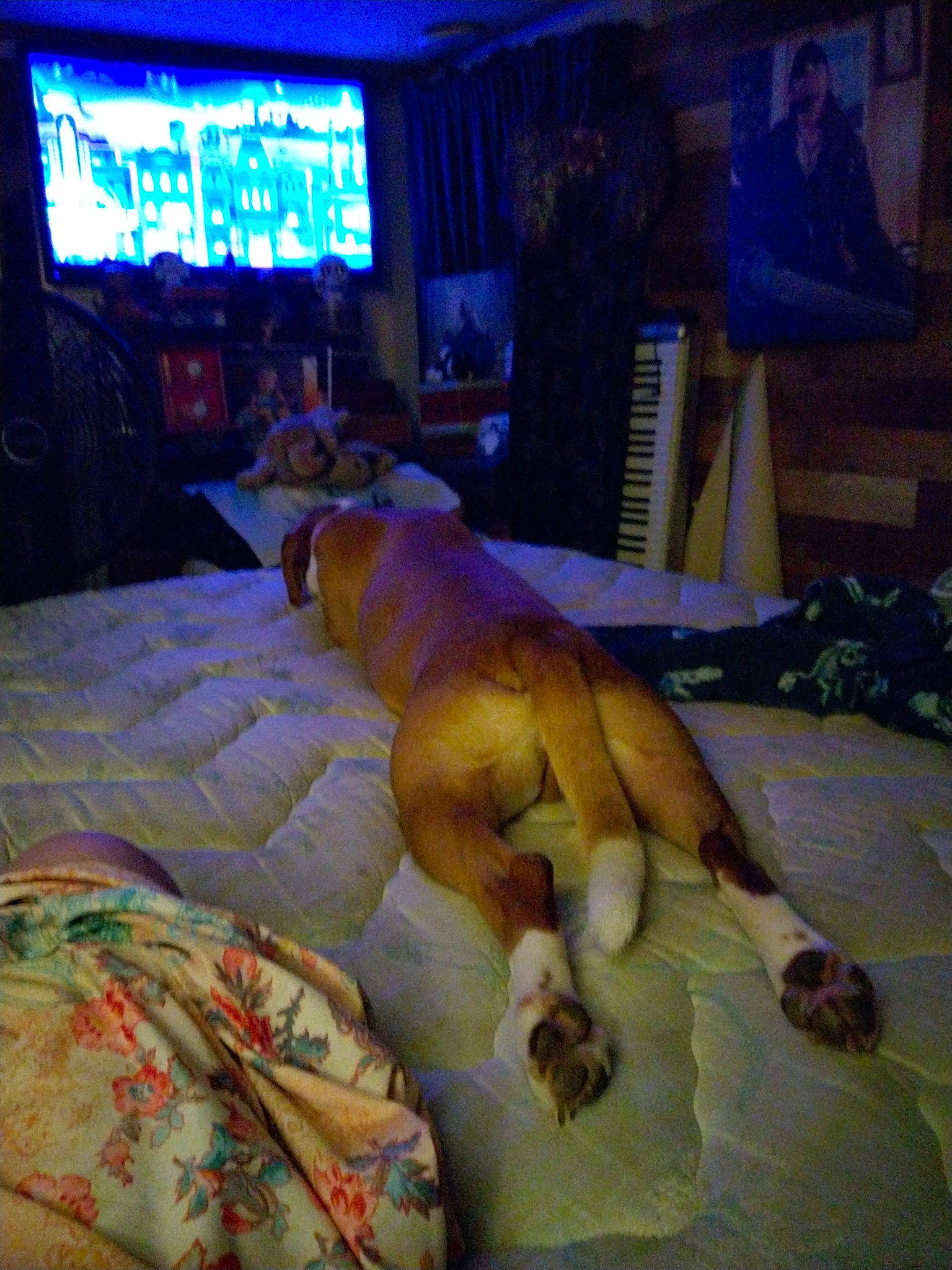 Big Boy joined the competition — help win amazing prizes! barefoot, bed, bed_frame, bed_sheet, bedding, bedroom, comfort, curtain, duvet, event, flesh, flooring, fun, human_leg, linens, room, stuffed_toy, television, toy, wood