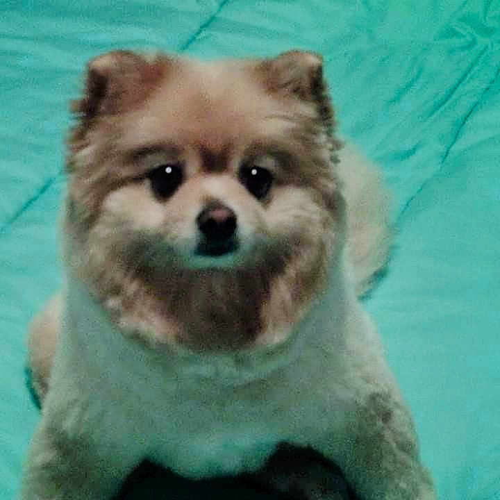 Tasha