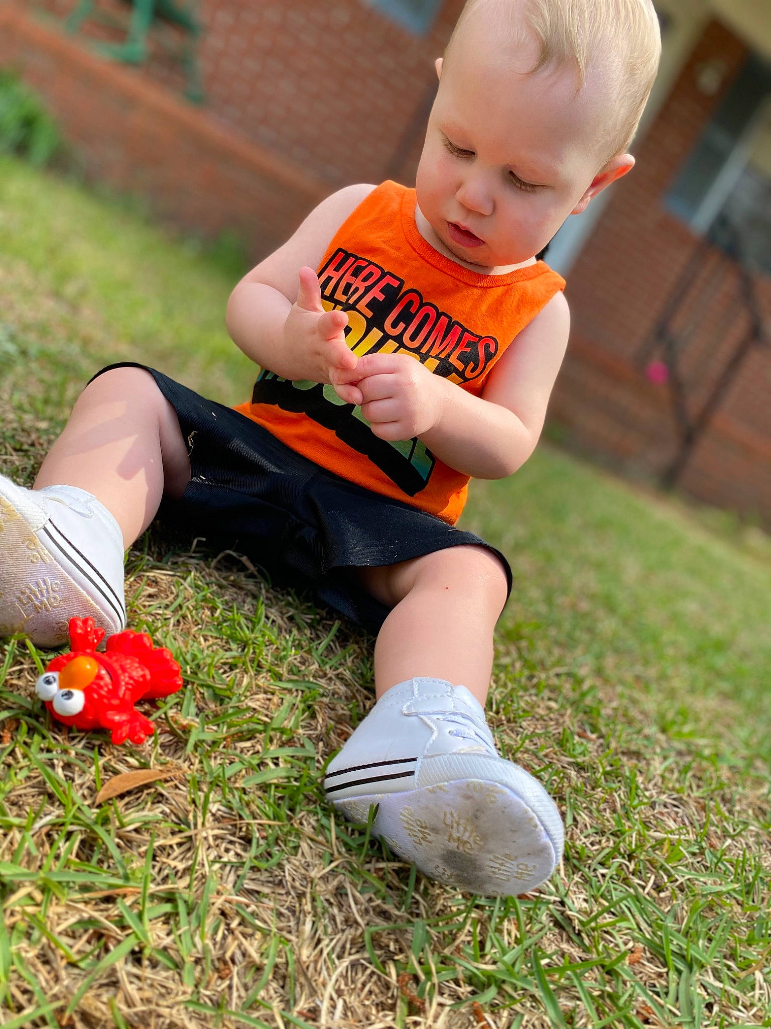 Corbin is registered to the contest to win money with this photo: baby_toddler_clothing, child, finger, footwear, fun, grass, happy, knee, lawn, leisure, orange, people_in_nature, person, plant, shoe, shorts, sneakers, sock, t_shirt, thigh