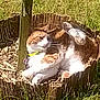 Thomas Eugene is registered to the contest to win money with this photo: