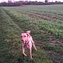 Archerbold Maximillion Brown is registered to the contest to win money with this photo:
