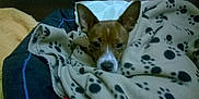 Gunner Jackamo Luigi Brown is registered to the contest to win money with this photo: