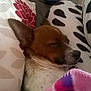 Gunner Jackamo Luigi Brown is registered to the contest to win money with this photo: