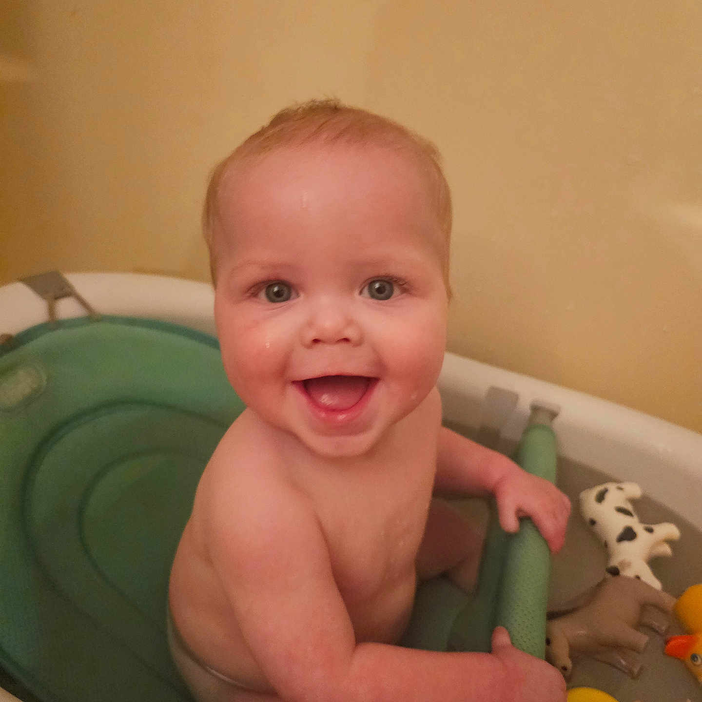 Joshua is registered to the contest to win money with this photo: baby, bathtub, water, toy, smile, child, happy, bath_time, skin, infant, play, animal_toys, sitting, indoors, cute, childhood, fun, wet, person, joy