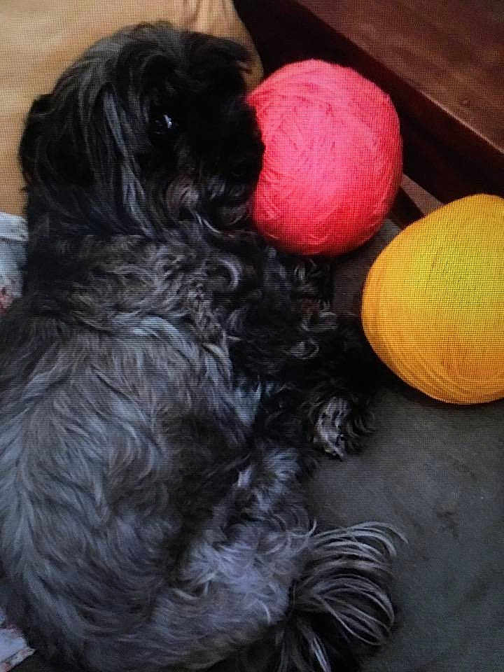 Sophie