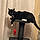 Figaro