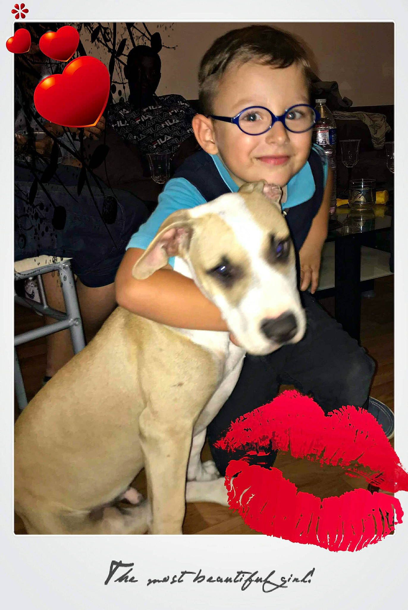 Zayan a rejoint le concours — aidez-le/la à gagner de superbes lots ! balloon, canidae, carnivore, collar, companion_dog, dog, dog_breed, dog_collar, dog_supply, event, eyewear, fawn, glasses, handwriting, happy, joy, person, sighthound, smile, snout