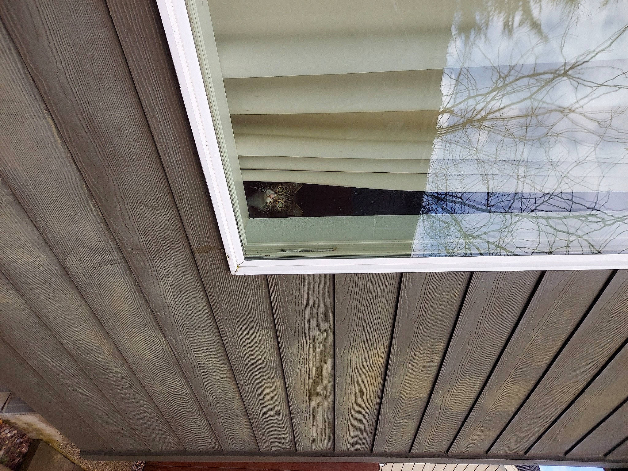 Kreacher is registered to the contest to win money with this photo: architecture, beam, building, ceiling, composite_material, facade, flooring, glass, hardwood, interior_design, material_property, metal, pattern, rectangle, roof, shade, siding, symmetry, tints_and_shades, wood