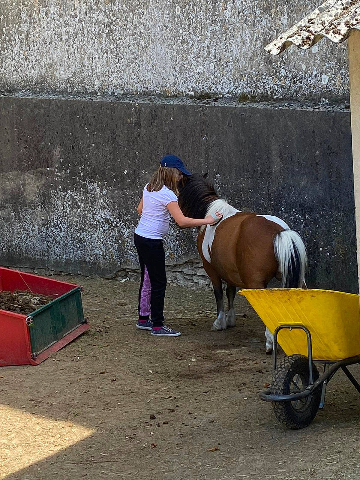 Noemy a rejoint le concours — aidez-le/la à gagner de superbes lots ! art, asphalt, bridle, bull, concrete, horse, horse_supplies, horse_tack, landscape, leisure, livestock, mare, pack_animal, person, recreation, rein, road_surface, stallion, tire, wheel