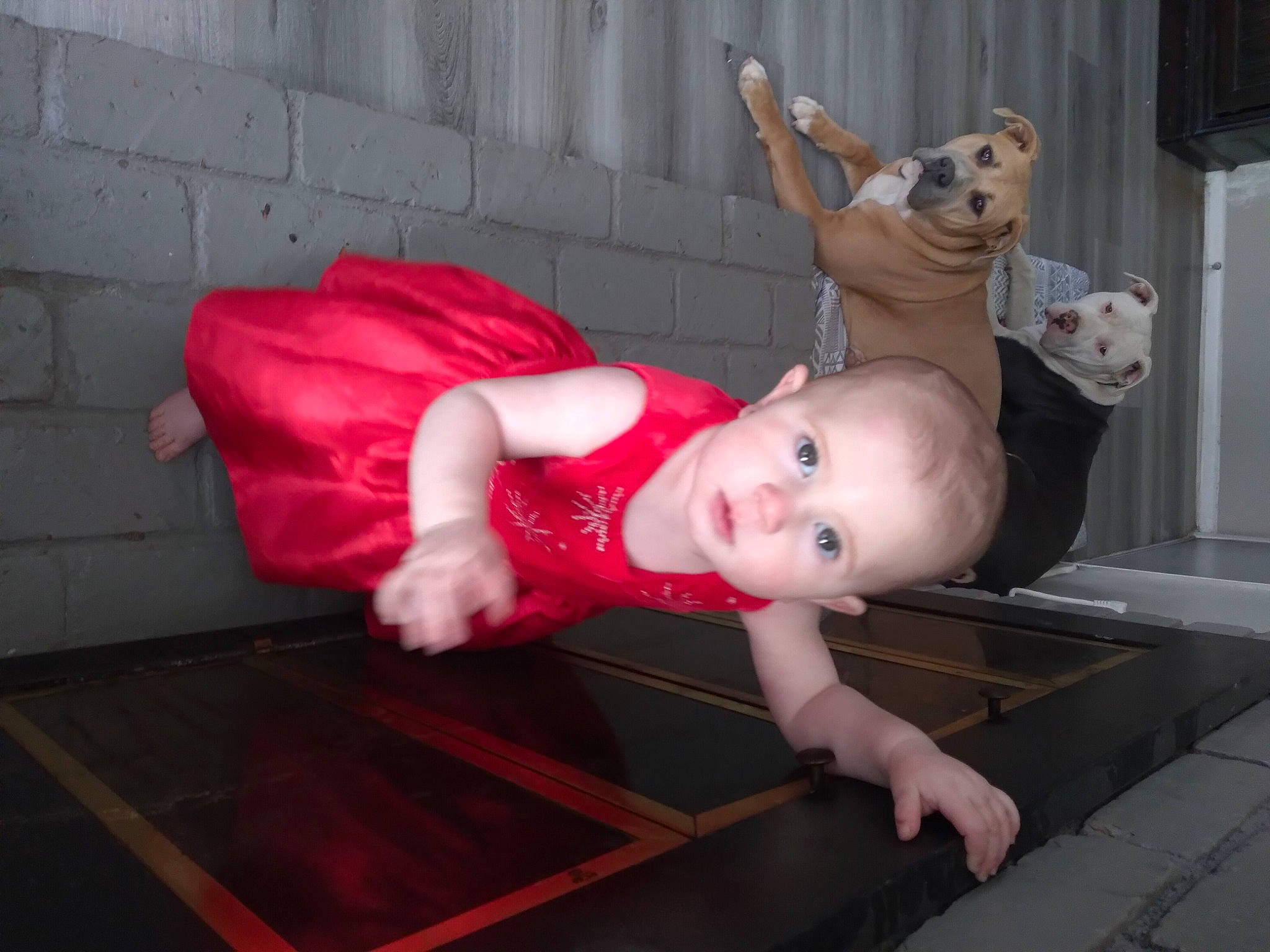 Genevieve joined the competition — help win amazing prizes! baby, baby_toddler_clothing, carmine, child, costume, door, event, flesh, flooring, fun, fur, happy, hardwood, person, room, smile, toddler, wood