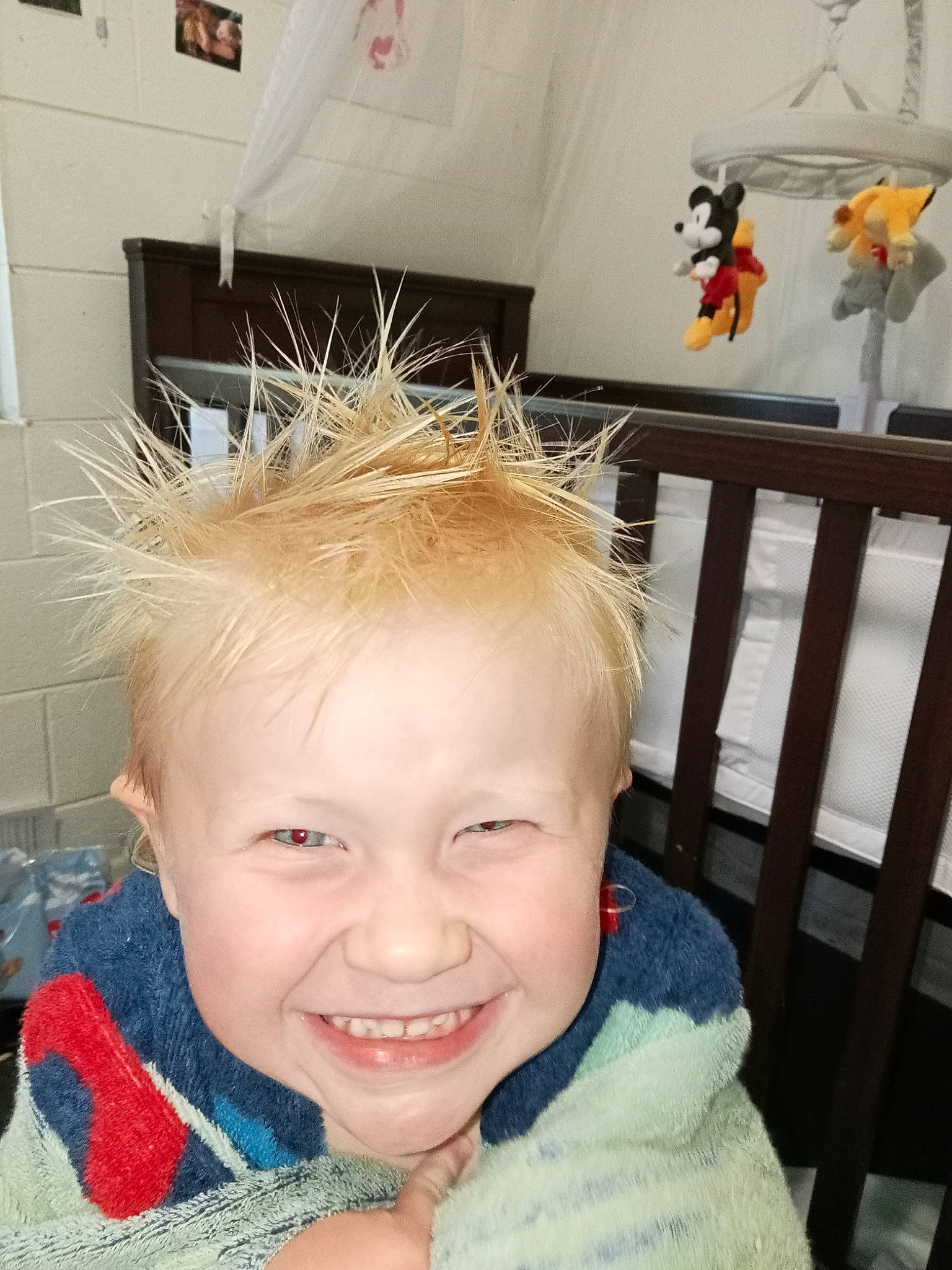 Koda is registered to the contest to win money with this photo: cheek, ear, eye, eyebrow, eyelash, face, fun, hair, hairstyle, happy, head, house, iris, jaw, joy, mouth, nose, person, skin, smile