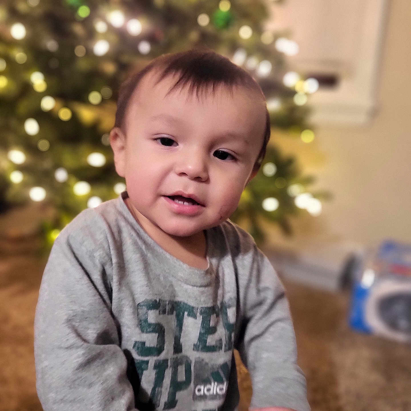 Antonio Jr joined the competition — help win amazing prizes! baby, bodypart, clothing, couch, face, finger, fir, furniture, hand, happy, head, knitwear, person, photography, plant, portrait, sitting, smile, sweater, t_shirt