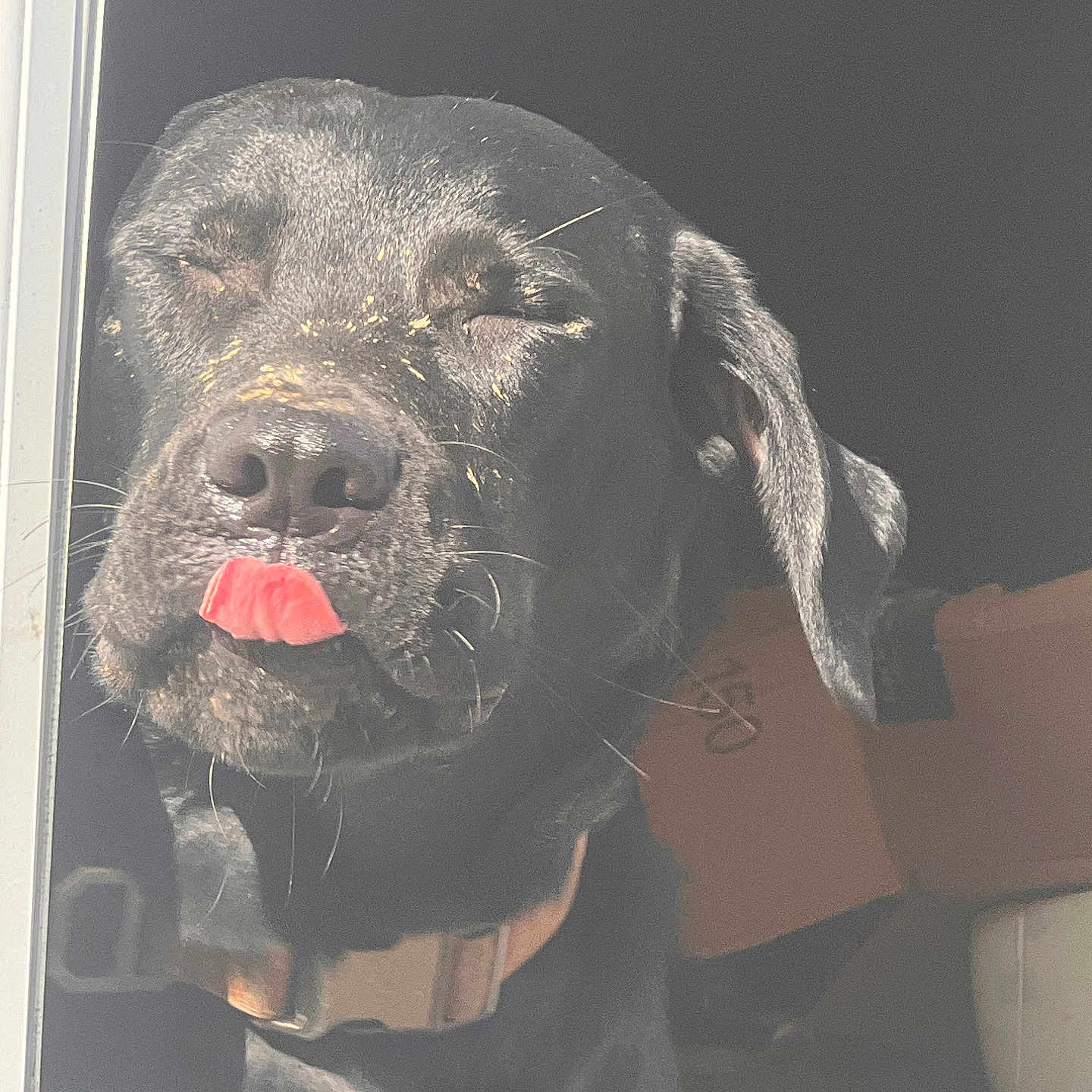 Jack