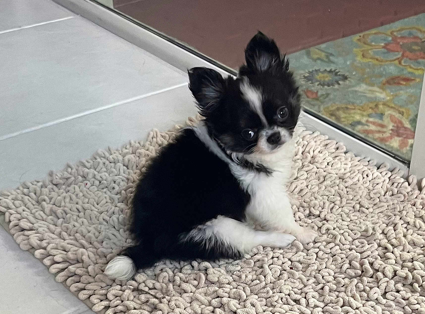 Milo