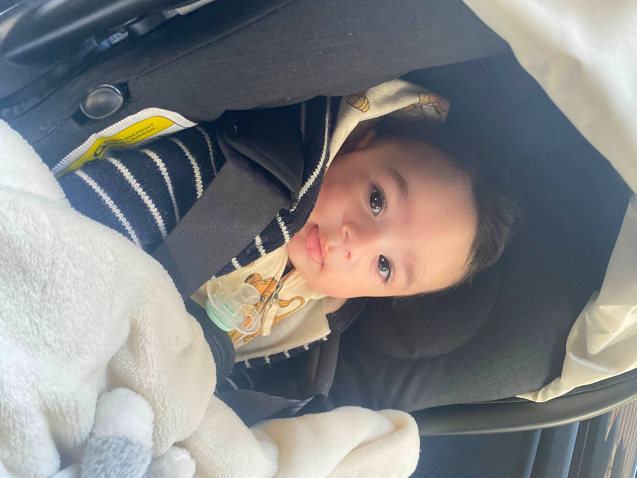 Adam participe au concours pour gagner de l'argent avec cette photo : auto_part, baby, baby_carriage, baby_in_car_seat, baby_products, baby_toddler_clothing, car_seat, cheek, child, comfort, eyebrow, finger, happy, mouth, nose, organ, person, skin, smile, toddler
