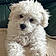 Bijou