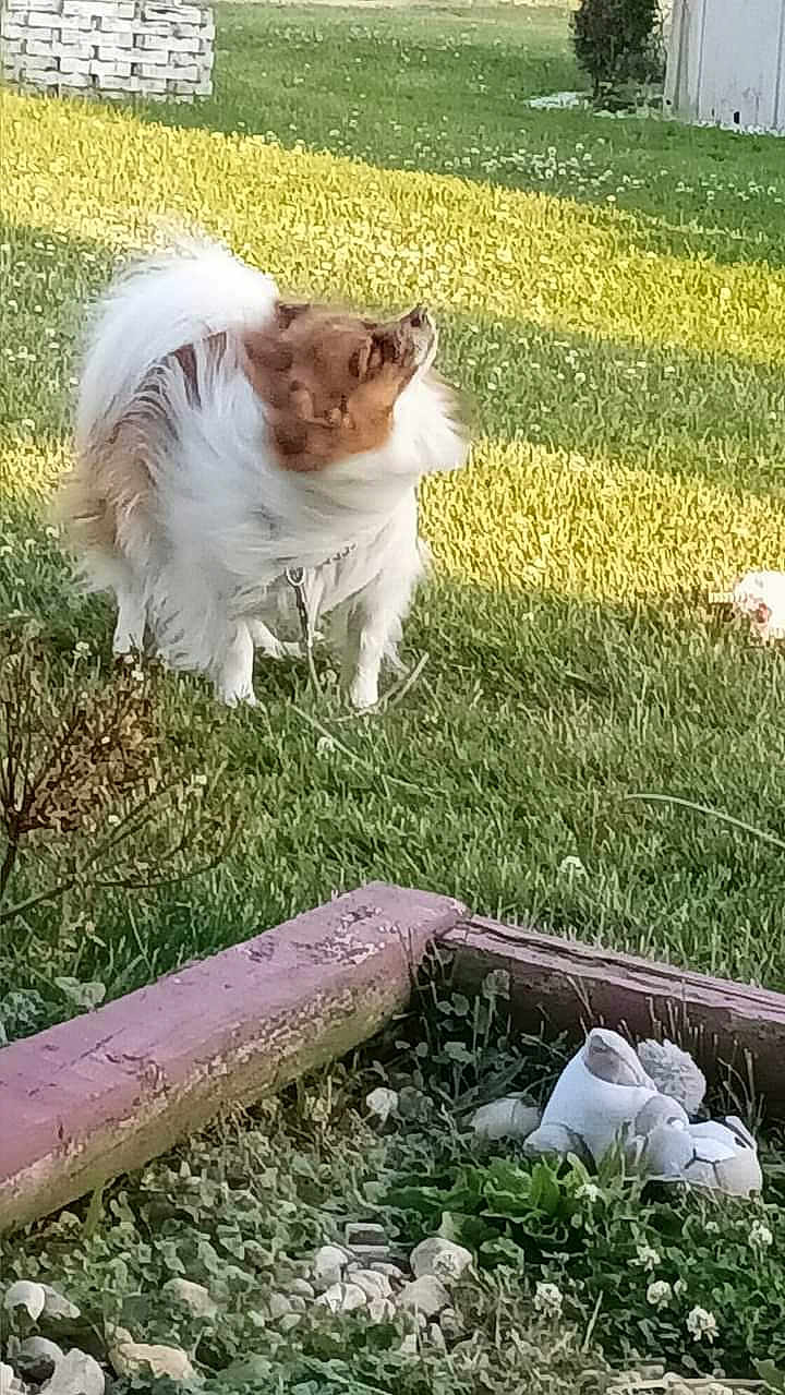 Casper