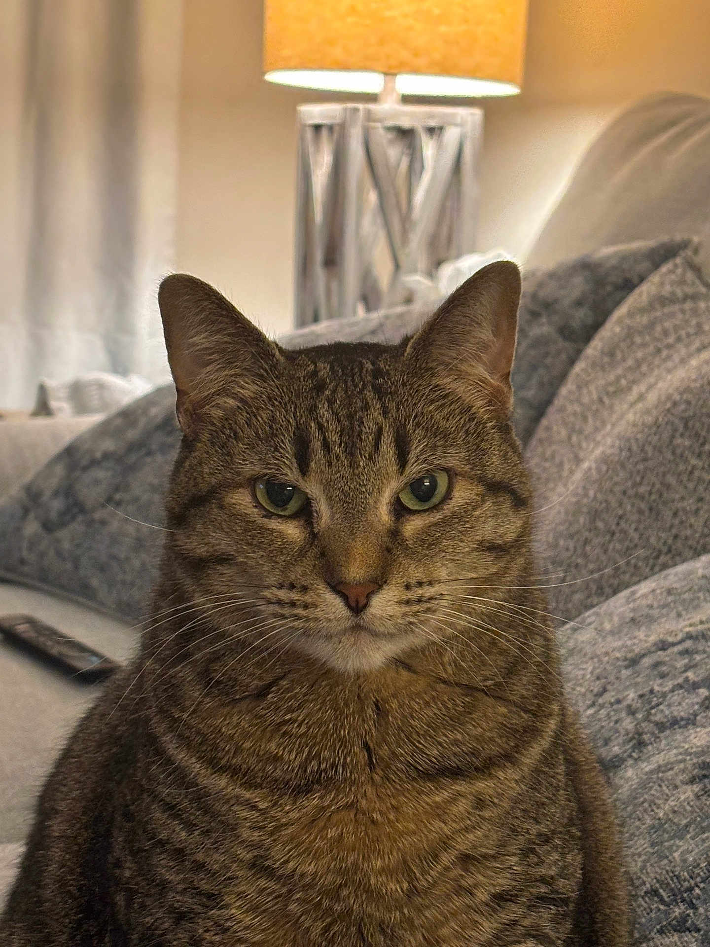 Nala