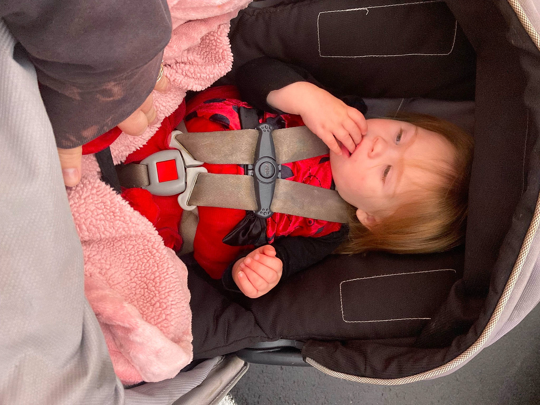 Adeline is registered to the contest to win money with this photo: baby, baby_carriage, baby_in_car_seat, baby_products, baby_safety, baby_sleeping, baby_toddler_clothing, car_seat, carmine, cheek, child, comfort, fashion_accessory, finger, lap, nap, person, sitting, sleep, sleeve