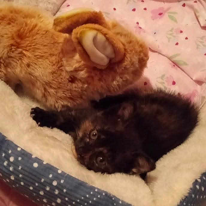Matilda