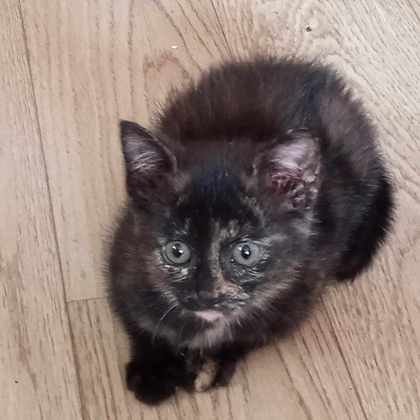 Matilda