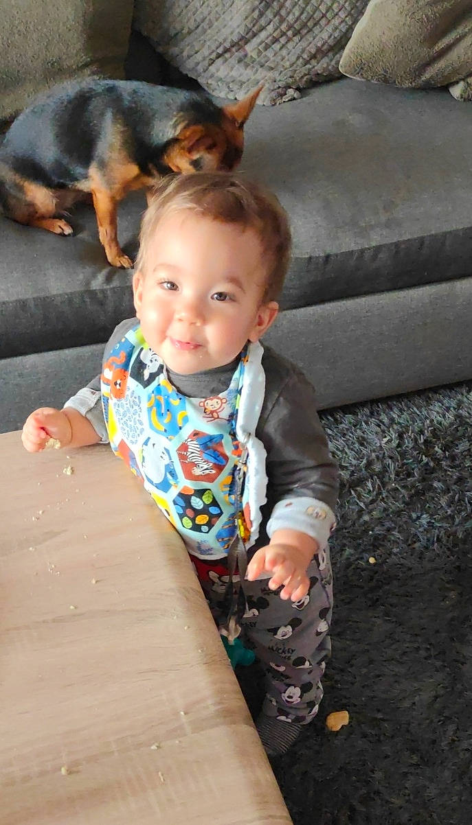 Noha a rejoint le concours — aidez-le/la à gagner de superbes lots ! baby, baby_toddler_clothing, companion_dog, dog, eye, face, facial_expression, fawn, fun, grass, happy, head, leisure, person, sitting, skin, sleeve, smile, toddler, tree